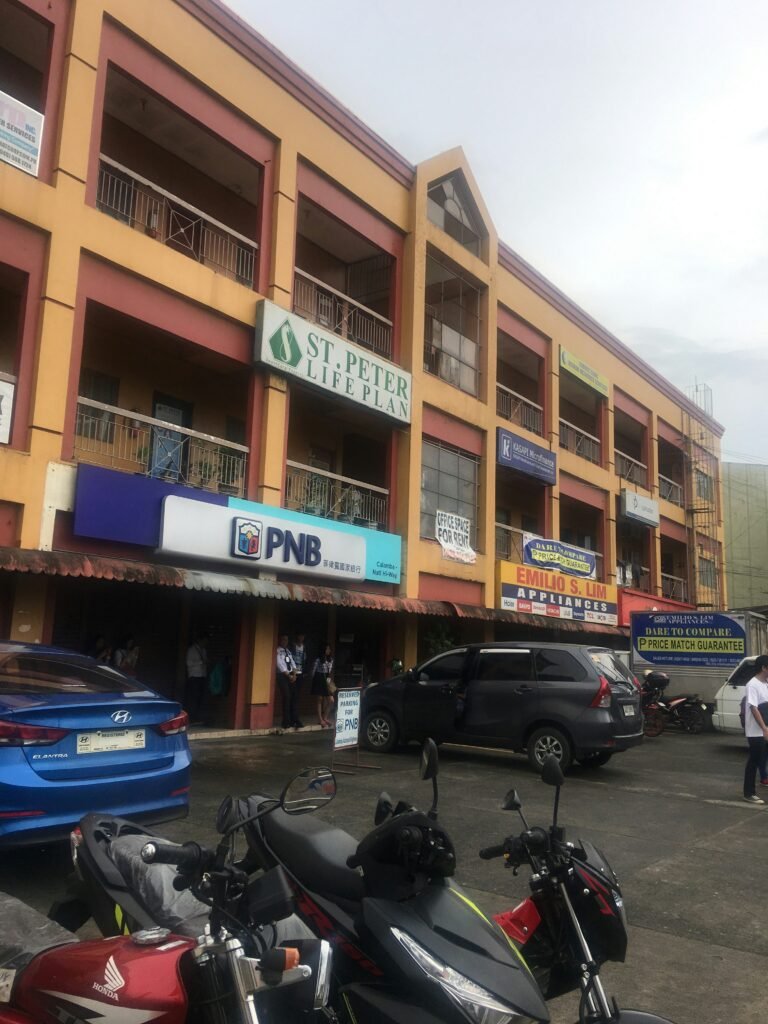 Professional Liability Insurance